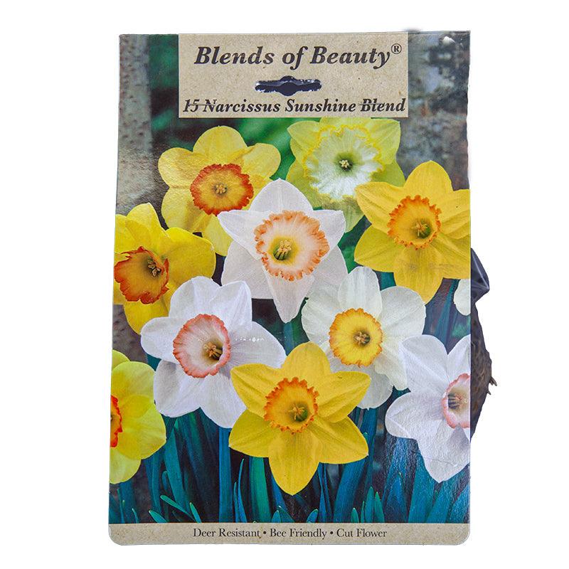 Narcissus Sunshine Blend (Pack of 14) — Netherland Bulb Company