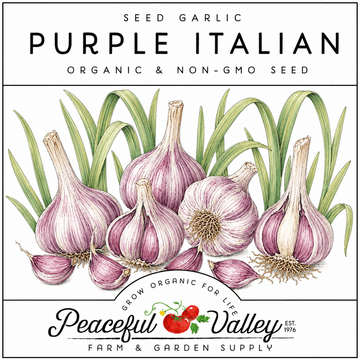 Peaceful Valley Garlic Stickers Purple Italian Grow Organic