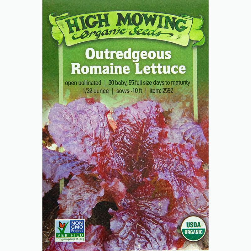 Outredgeous Romaine Lettuce Seeds (Organic) High Mowing Seeds