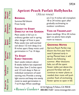 Apricot-Peach Parfait Pom Pom Hollyhock Flower Seeds Renee's Garden