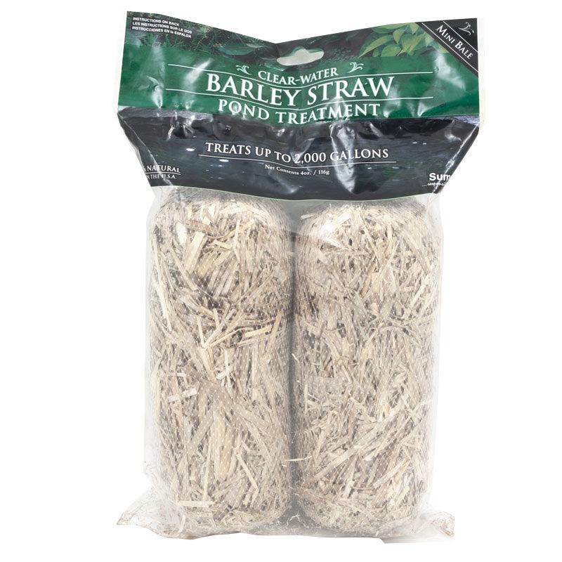 Pond Barley Mini Bales (2/pk) Grow Organic