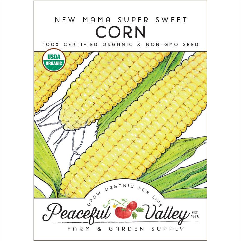 Sweet New Mama Corn Seeds (Organic) Peaceful Valley