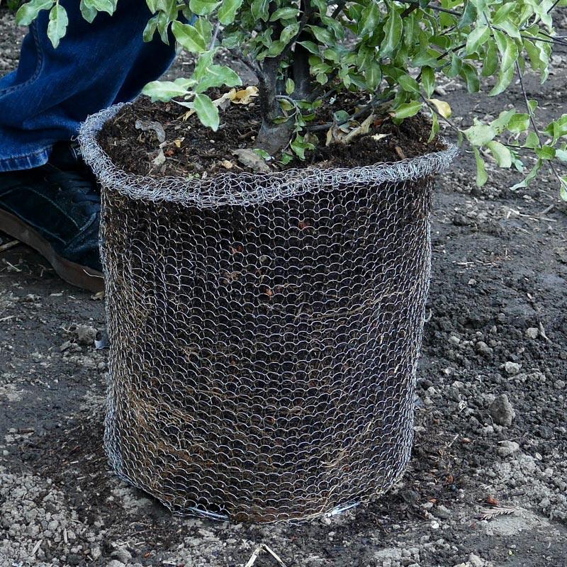 Root Guard Speed Basket 1 gal (4/pk) Digger's