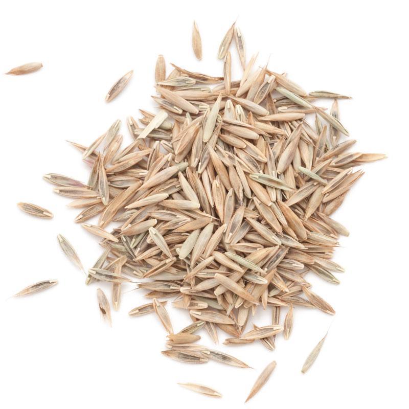 Peaceful Valley Premium Lawn Seed Mix (25 lb bag) Peaceful Valley