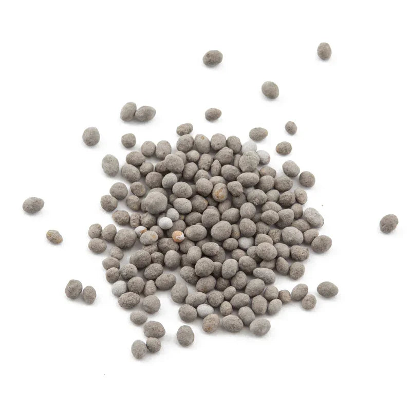 Yellow sweet clover Nitrocoated seed