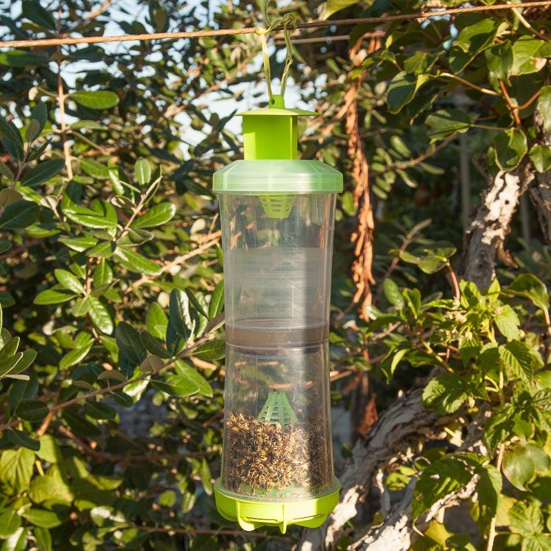 Reusable W-H-Y Trap with Attractant Rescue