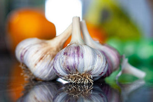 How to Grow Garlic: Planting, Care & Harvest Guide
