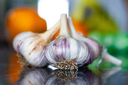 Freshly harvested hardneck garlic bulbs