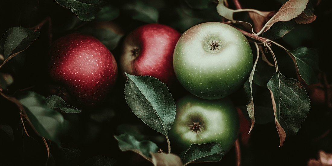 Fresh-cut apple showing the surface where browning begins