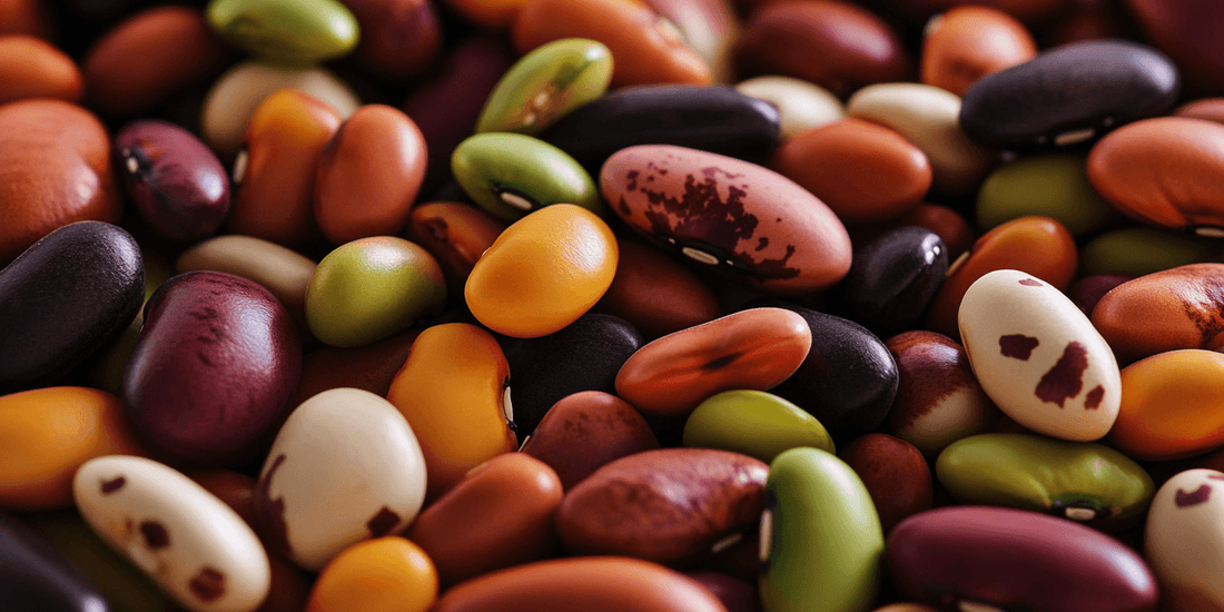 Assorted dried beans in several colors