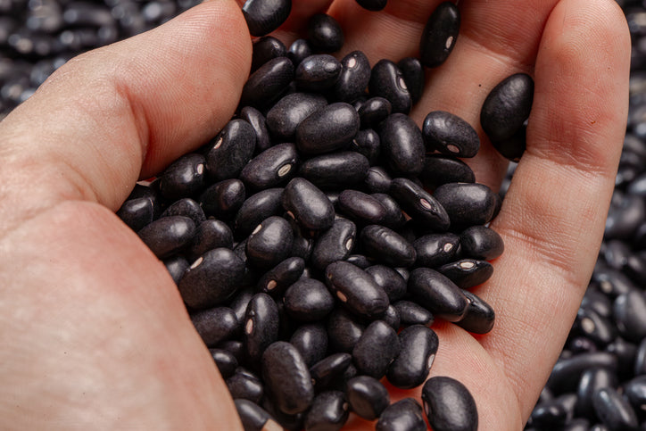 What Are Black Turtle Beans? Growth Process & Popular Uses