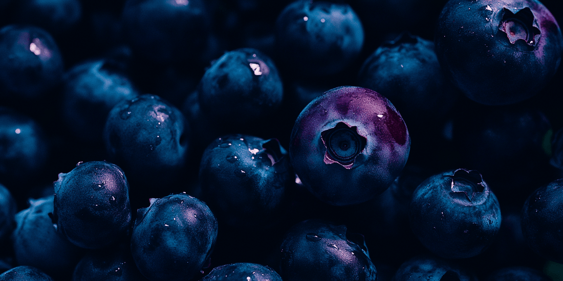 Close-up of ripe blueberries