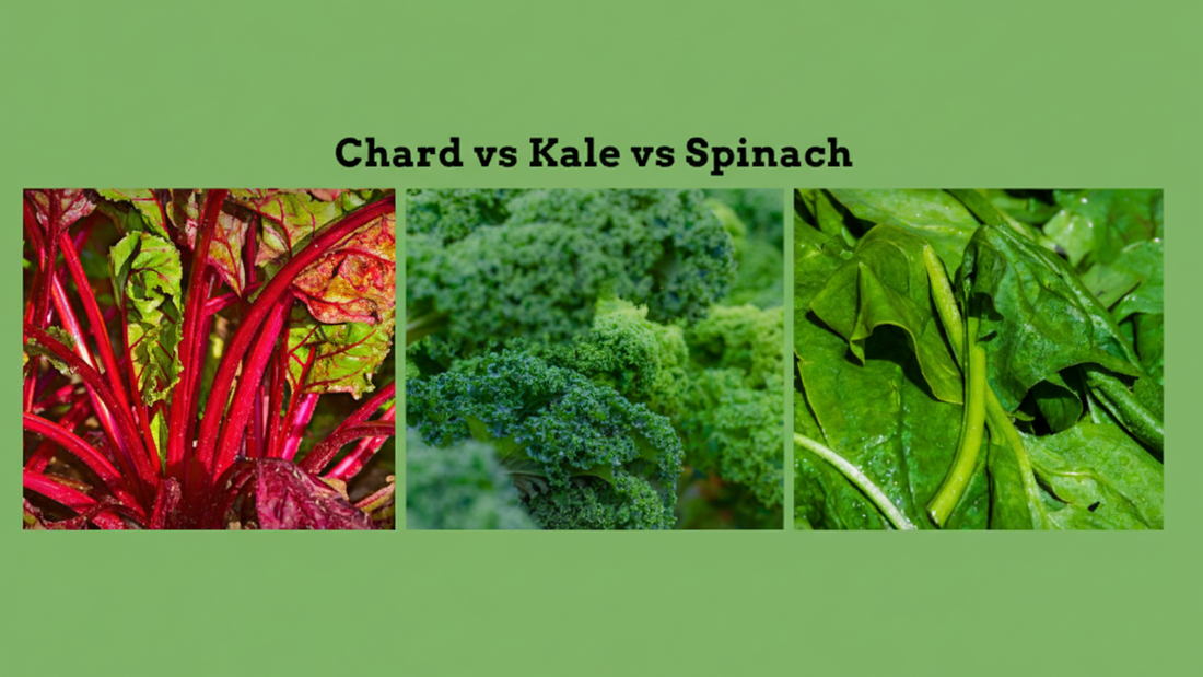 Chard vs Kale vs Spinach: Leafy Greens Comparison Guide