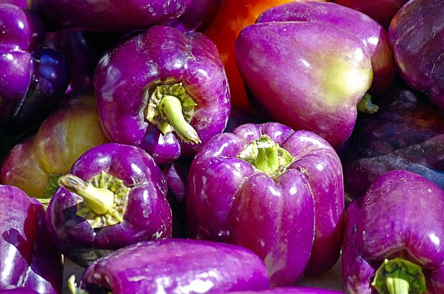 Farm fresh bell peppers