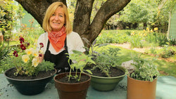 Gardener with containers of herbs and flowering plants