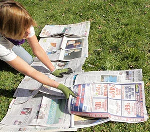 Make a Lasagna Gardening Bed