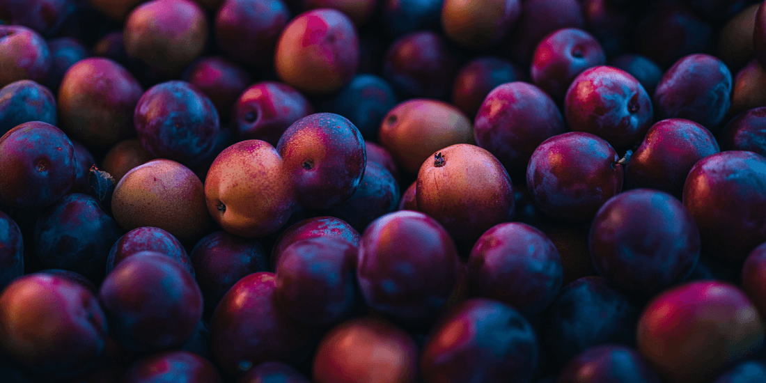 Freshly harvested purple plums