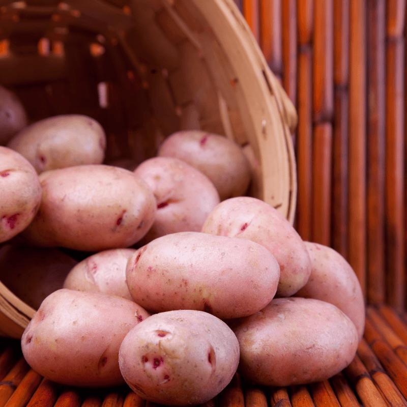 Red Pontiac potatoes spilling from a woven basket on bamboo