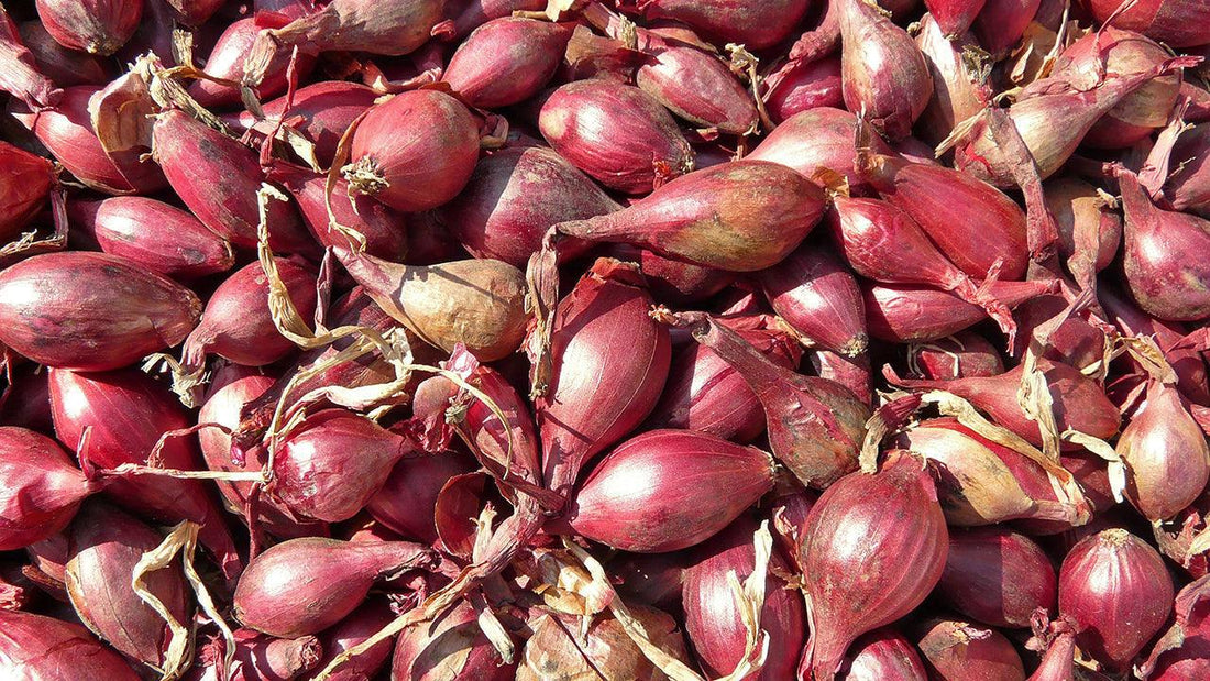Pile of red shallots