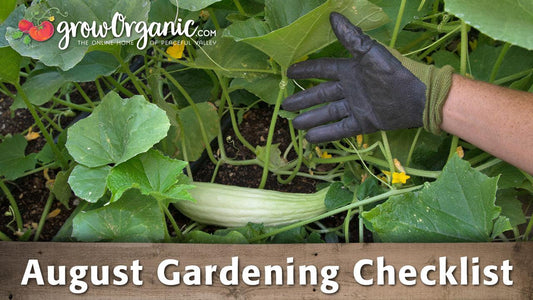 August garden checklist graphic over squash vines
