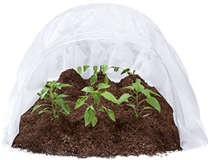 Protective fabric covering garden rows during cold weather