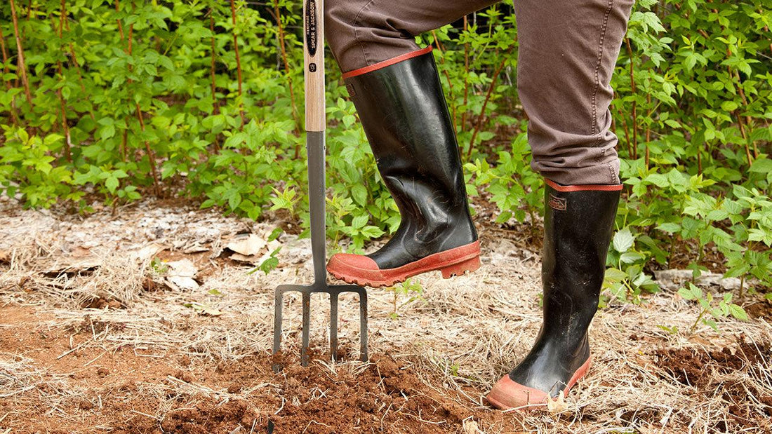 Boot pressing a garden fork into soil
