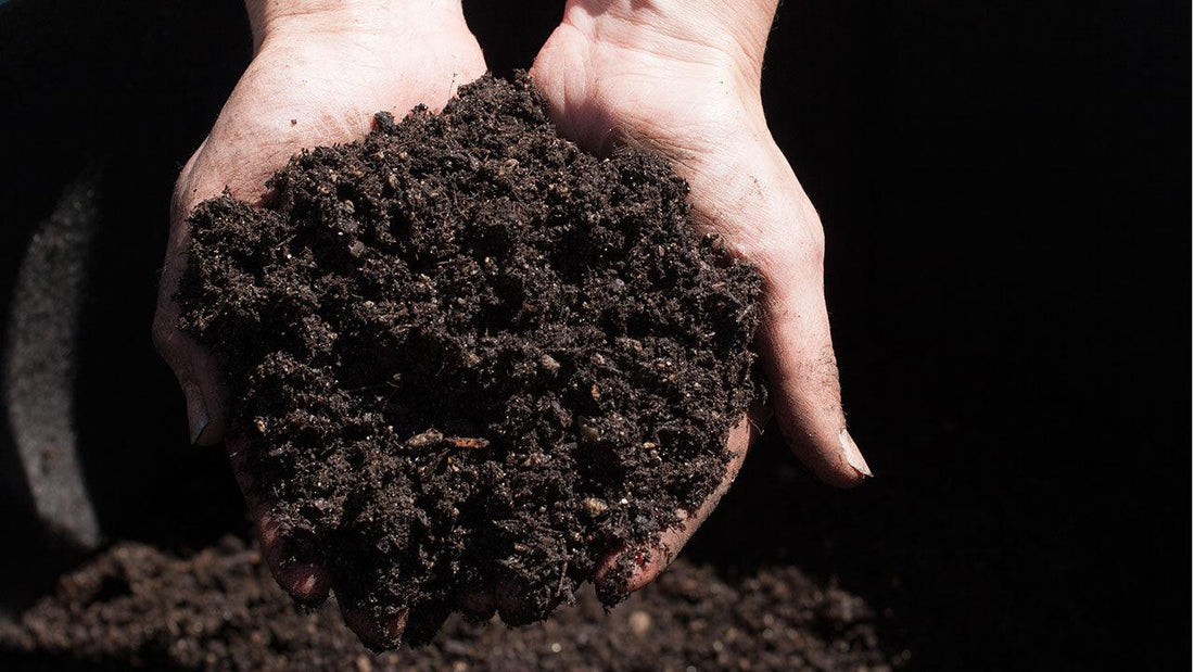 Hands holding a mound of dark compost