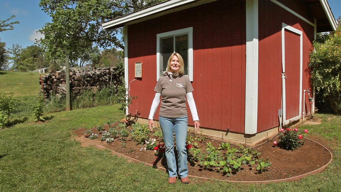 Edible landscape combining fruit trees, herbs, vegetables, and flowers