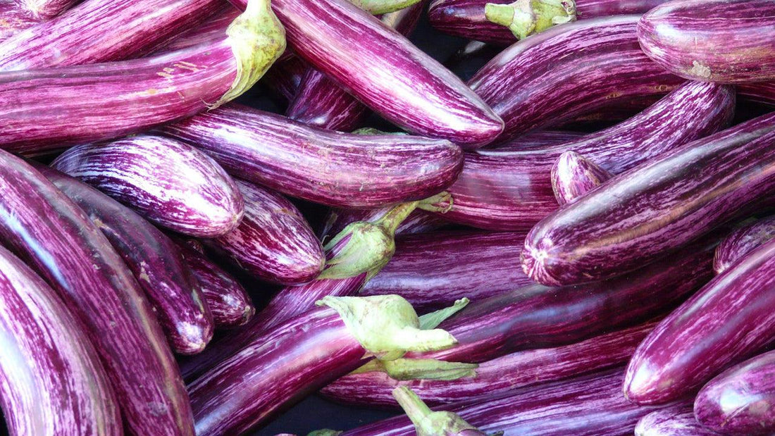 Pile of long purple-striped eggplants