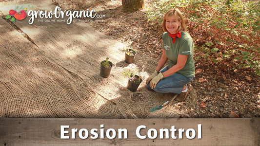 Garden slope prepared for soil erosion control
