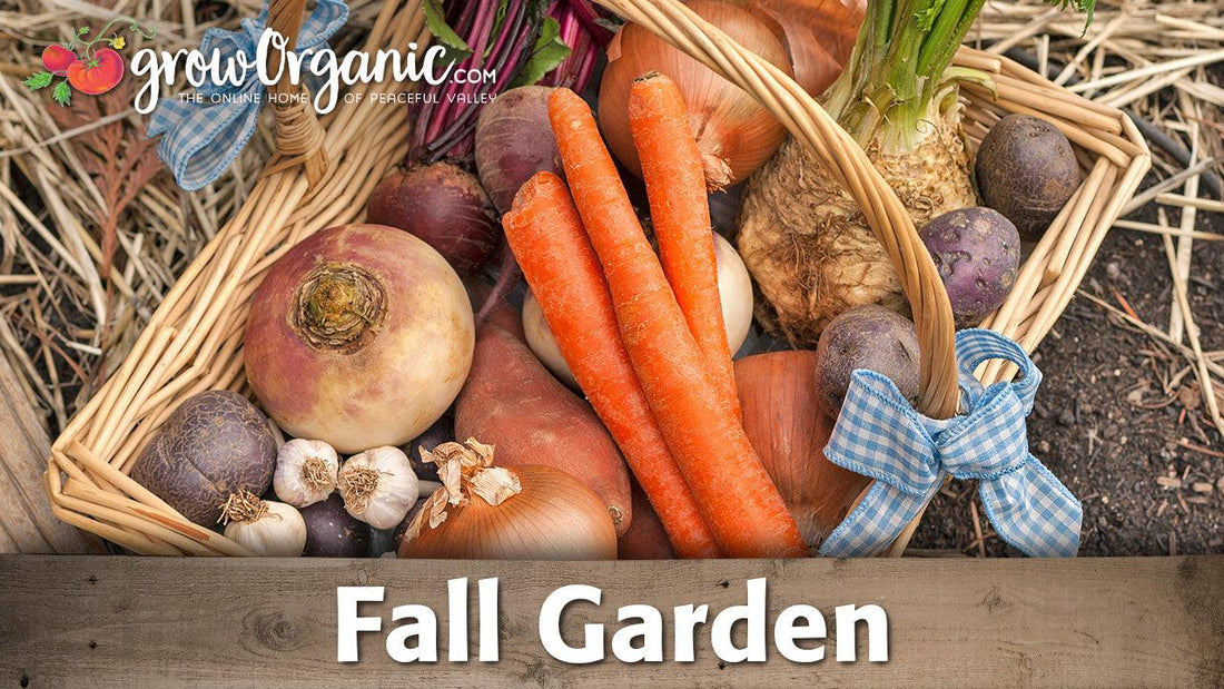 Basket of carrots, onions, turnips, potatoes, and garlic representing fall garden planning