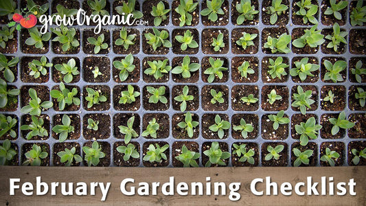 February garden checklist graphic over seedling trays