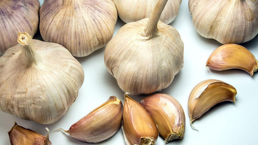 Whole garlic bulbs and separated cloves