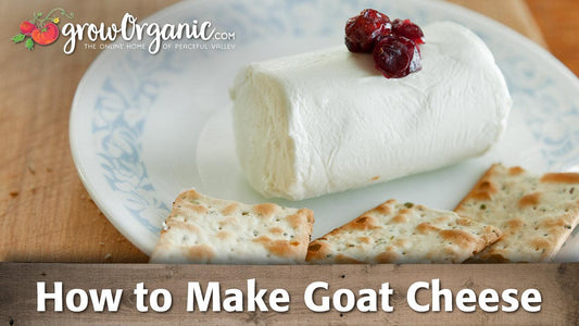 Goat-cheese guide graphic over a cheese log and crackers