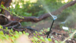 Micro-sprinkler spraying water in a garden bed