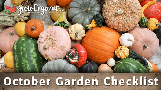 October garden checklist graphic over pumpkins and squash