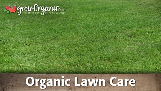 Established green lawn maintained with soil-conscious practices