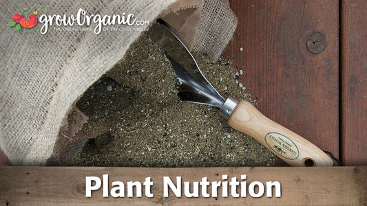 Fine granular plant nutrient beside a scoop