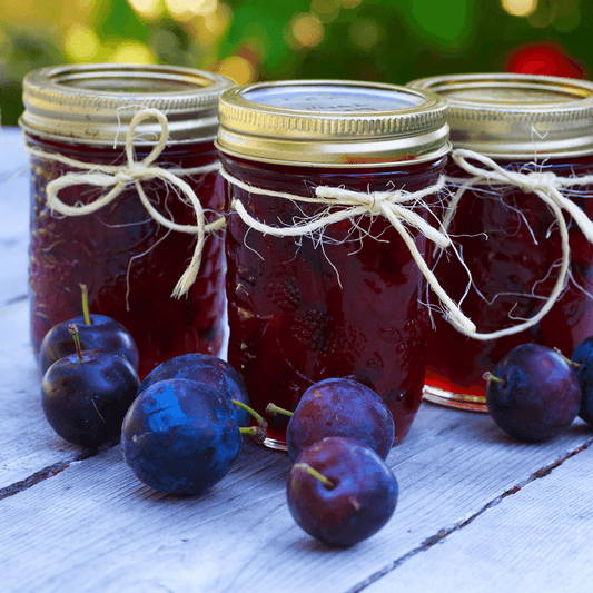 Homemade plum jam in a glass jar