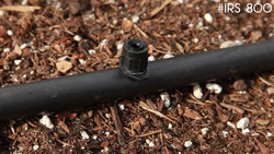 Micro-sprayer installed in black poly tubing