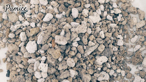 Pumice for Plants: Uses in Soil and Potting Mixes