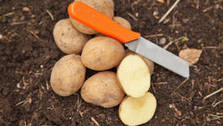 Seed potatoes and orange-handled knife on soil