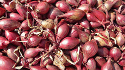 Pile of red shallots