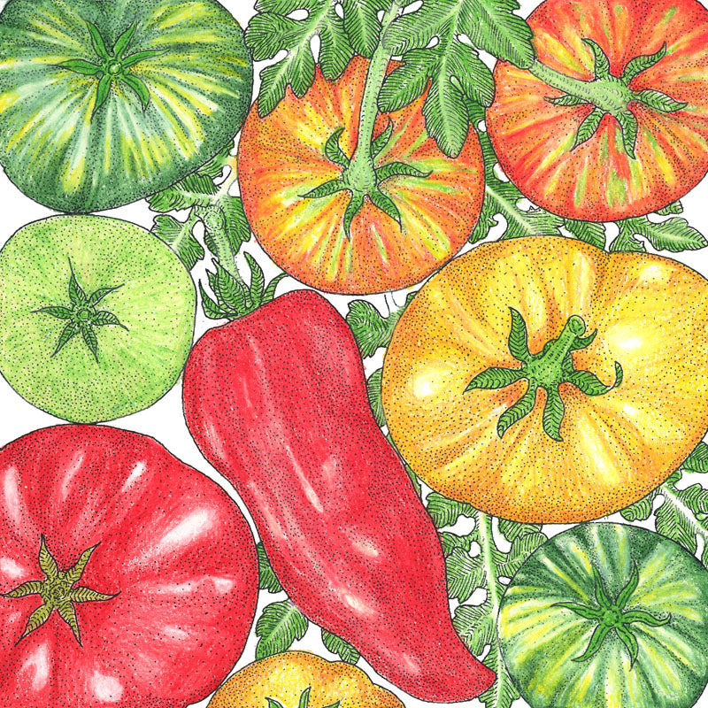 Heirloom Seeds for Home Gardens: Discover & Choose Your Distinctive Varieties