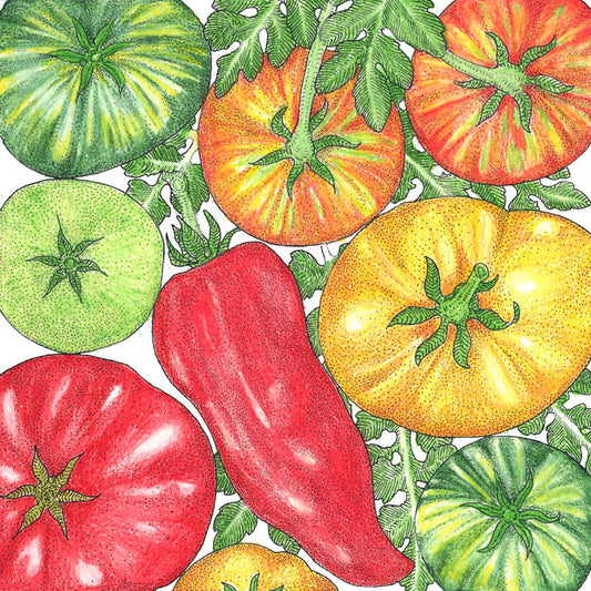 Heirloom Seeds for Home Gardens: Discover & Choose Your Distinctive Varieties