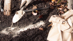 Soft Rock Phosphate Fertilizer: Uses & Application