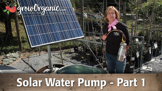 Woman standing beside a solar panel and water pump
