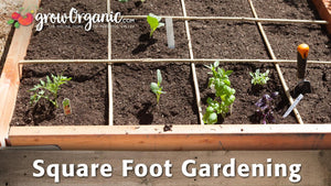 Square Foot Gardening
