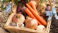 Basket of carrots, onions, potatoes, and other root vegetables