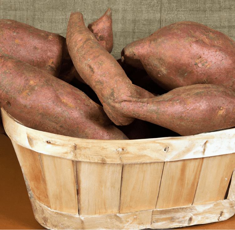 Basket of freshly harvested sweet potatoes